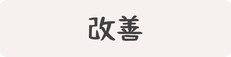 Our japanese store is a kaizen clothing brand with kanji japanese letter