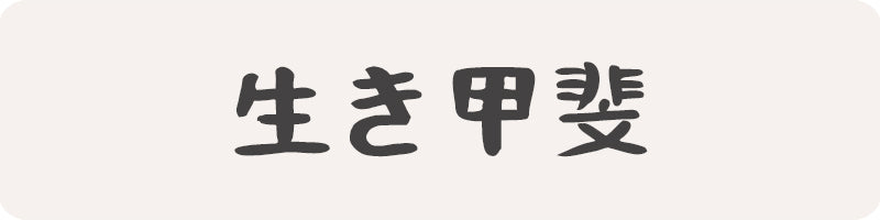 ikigai brand for our japanese store with kanji letter