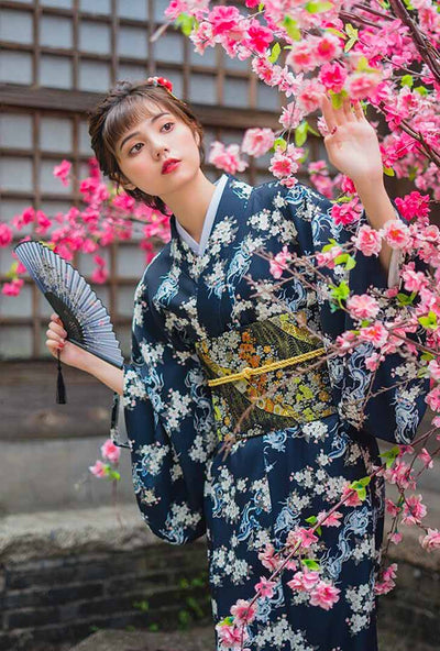 Japanese Kimono Style Dress