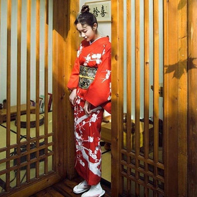 Japanese Red Kimono Dress
